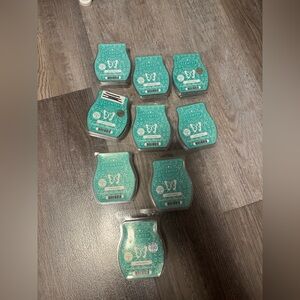 Scentsy Jade & Jasmine